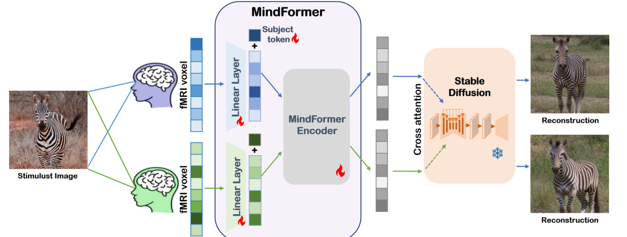 MindFormer method diagram for multi-subject fMRI brain decoding